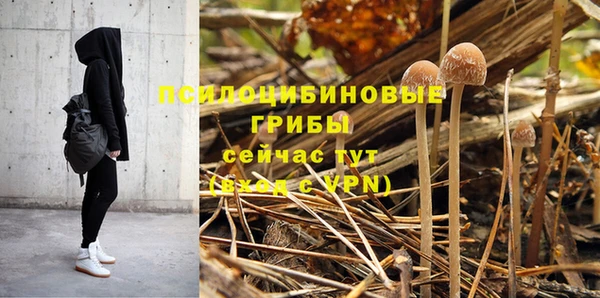 прущие грибы Горнозаводск