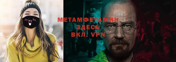 прущие грибы Горнозаводск