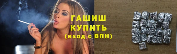 прущие грибы Горнозаводск