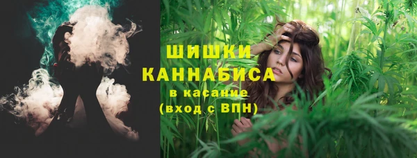 дмт Горняк